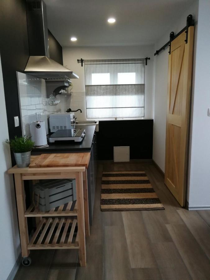 Appartamento Studio apartman HANA Drežnik Grad Esterno foto