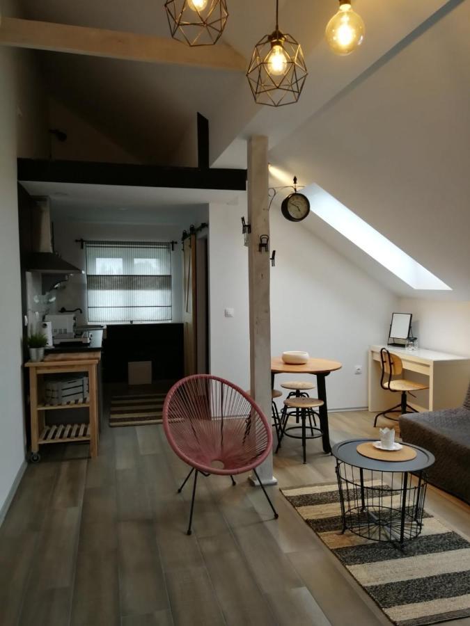 Appartamento Studio apartman HANA Drežnik Grad Esterno foto