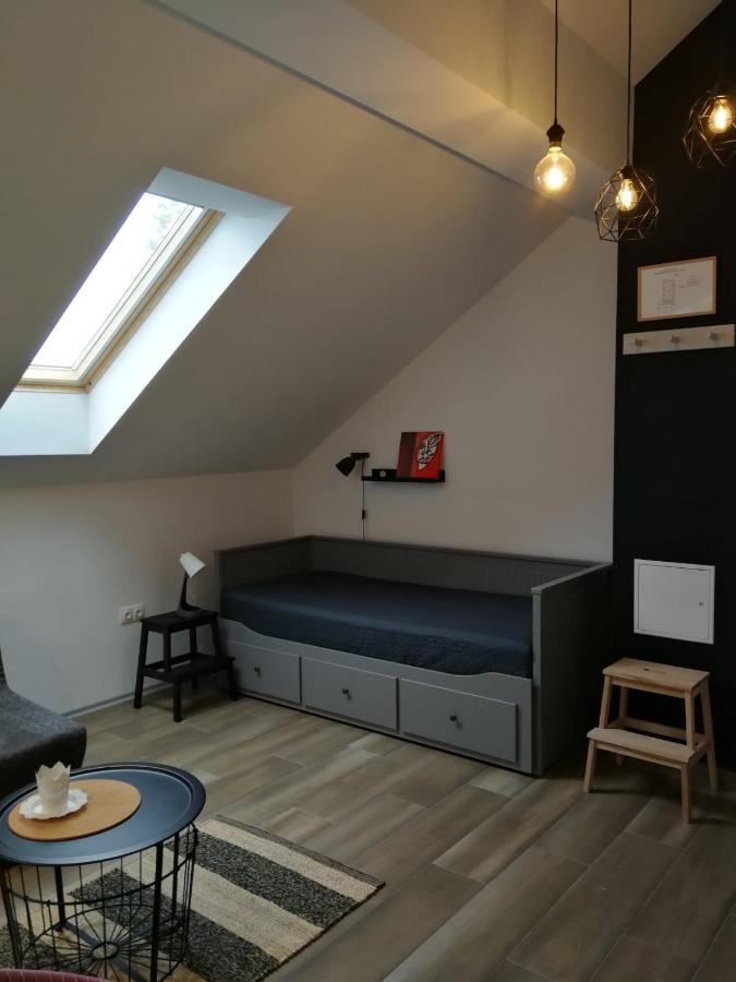 Appartamento Studio apartman HANA Drežnik Grad Esterno foto