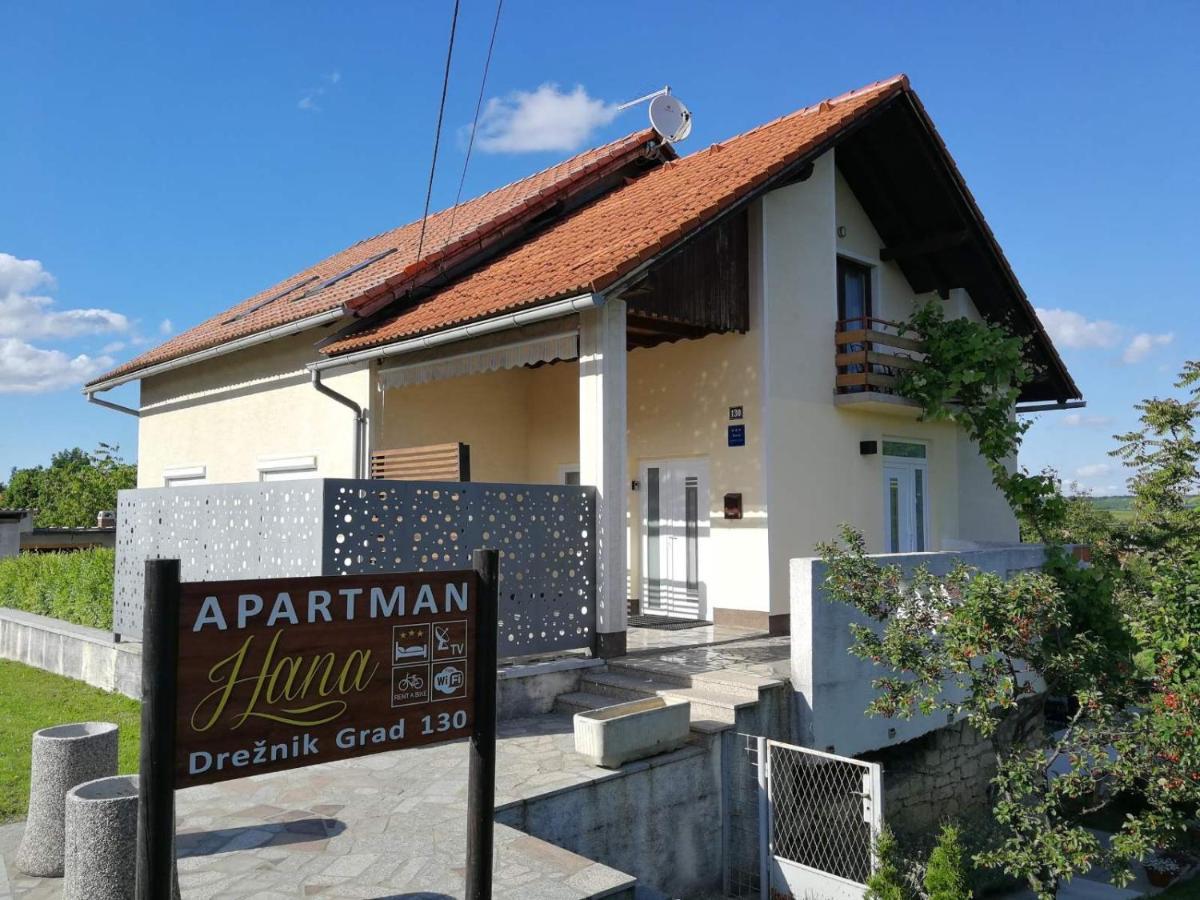 Appartamento Studio apartman HANA Drežnik Grad Esterno foto