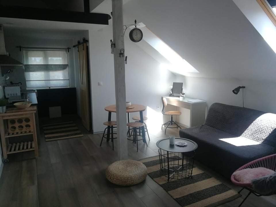 Appartamento Studio apartman HANA Drežnik Grad Esterno foto