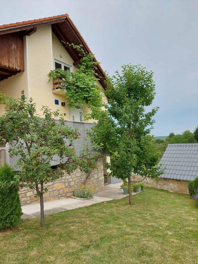 Appartamento Studio apartman HANA Drežnik Grad Esterno foto