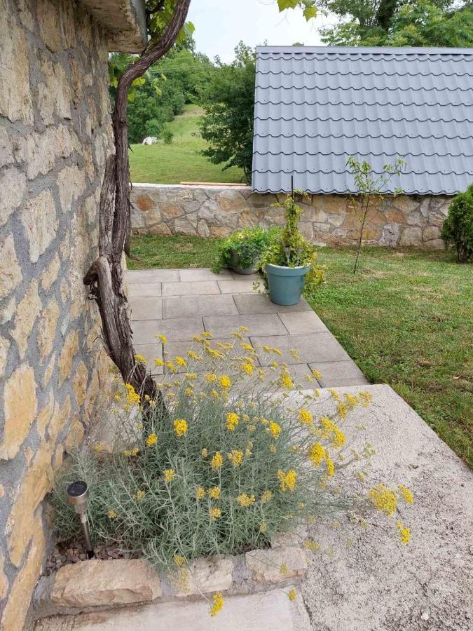 Appartamento Studio apartman HANA Drežnik Grad Esterno foto